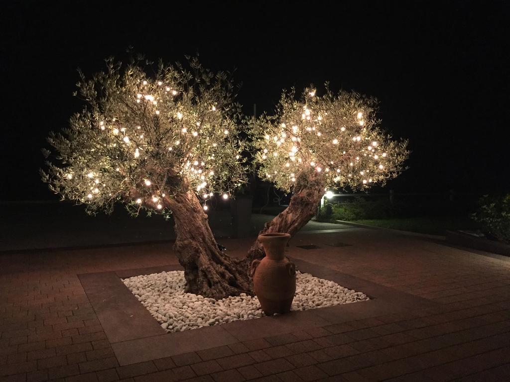 Agriturismo Podere Dell'Angelo Pasiano Di Pordenone Экстерьер фото