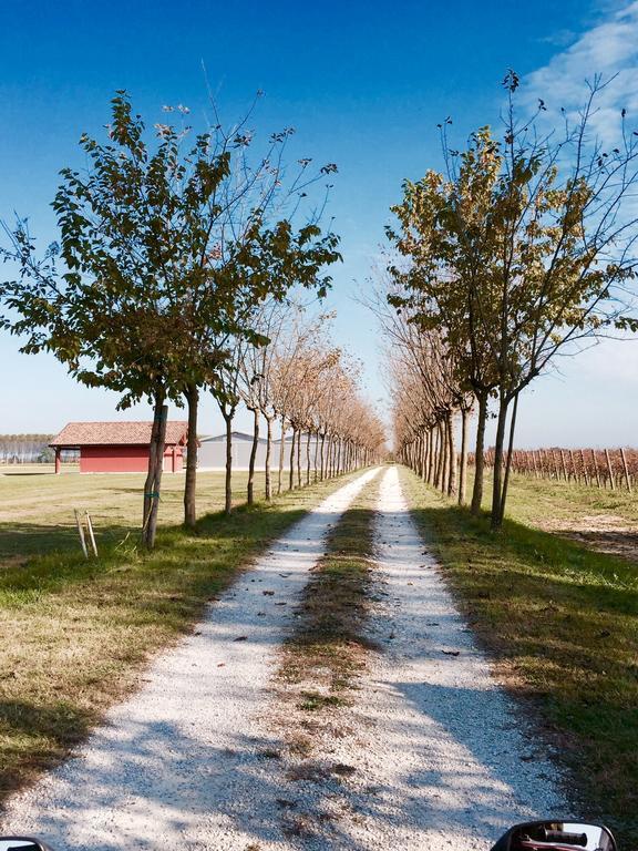 Agriturismo Podere Dell'Angelo Pasiano Di Pordenone Экстерьер фото